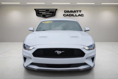 2019 Ford Mustang EcoBoost