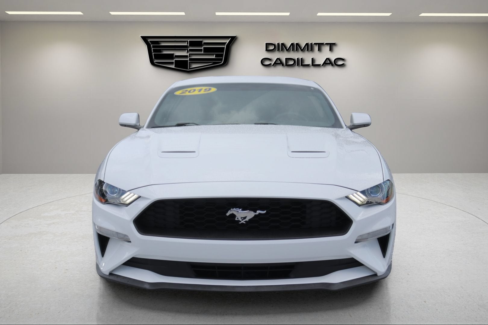 2019 Ford Mustang EcoBoost