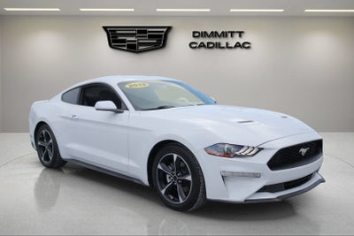 2019 Ford Mustang EcoBoost
