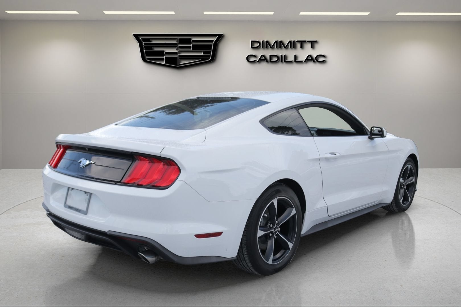 2019 Ford Mustang EcoBoost