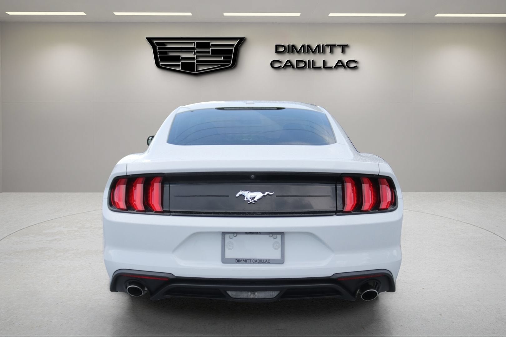 2019 Ford Mustang EcoBoost