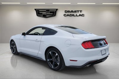 2019 Ford Mustang EcoBoost