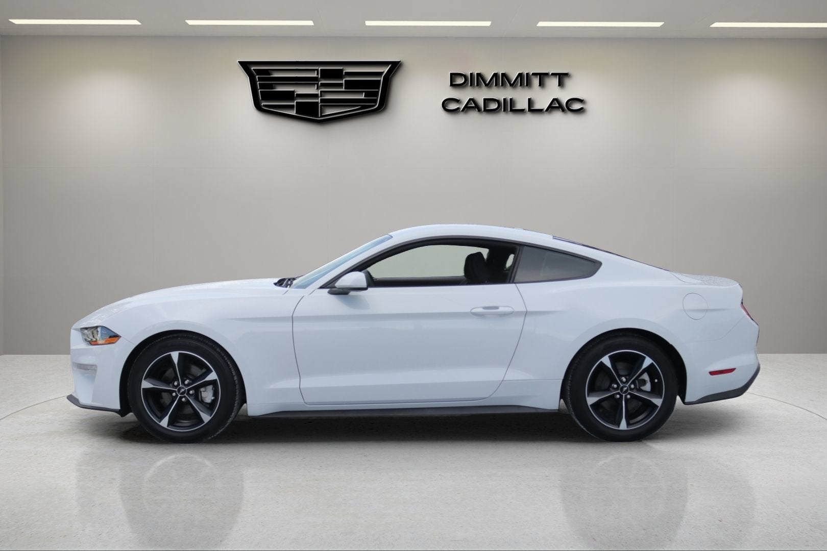 2019 Ford Mustang EcoBoost