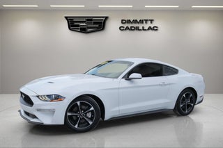 2019 Ford Mustang EcoBoost