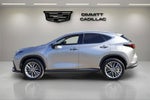 2023 Lexus NX NX 350h Premium